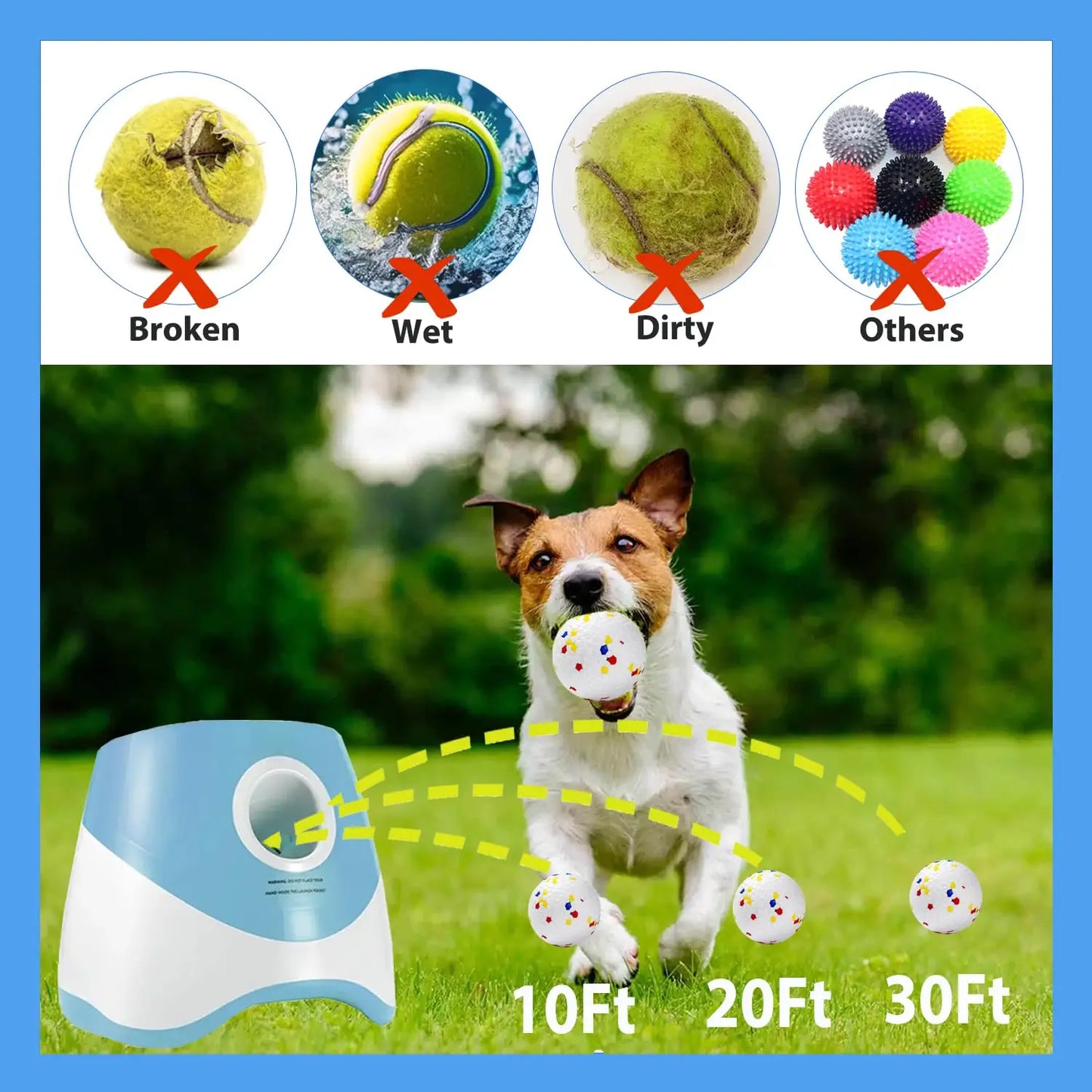 DAMA's Automatic Dog Ball Launcher