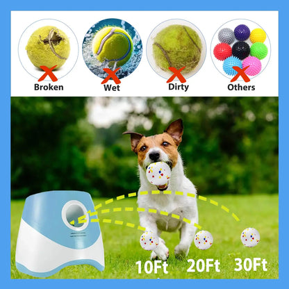 DAMA's Automatic Dog Ball Launcher