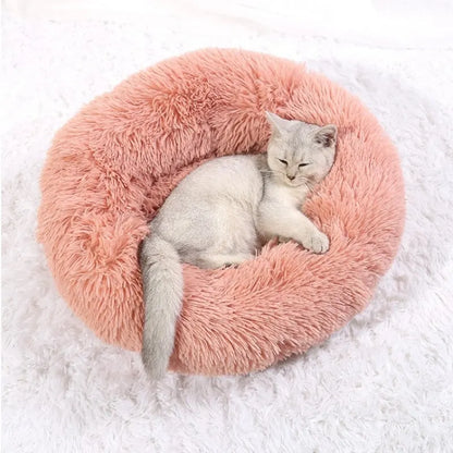 DAMA's pet bed!