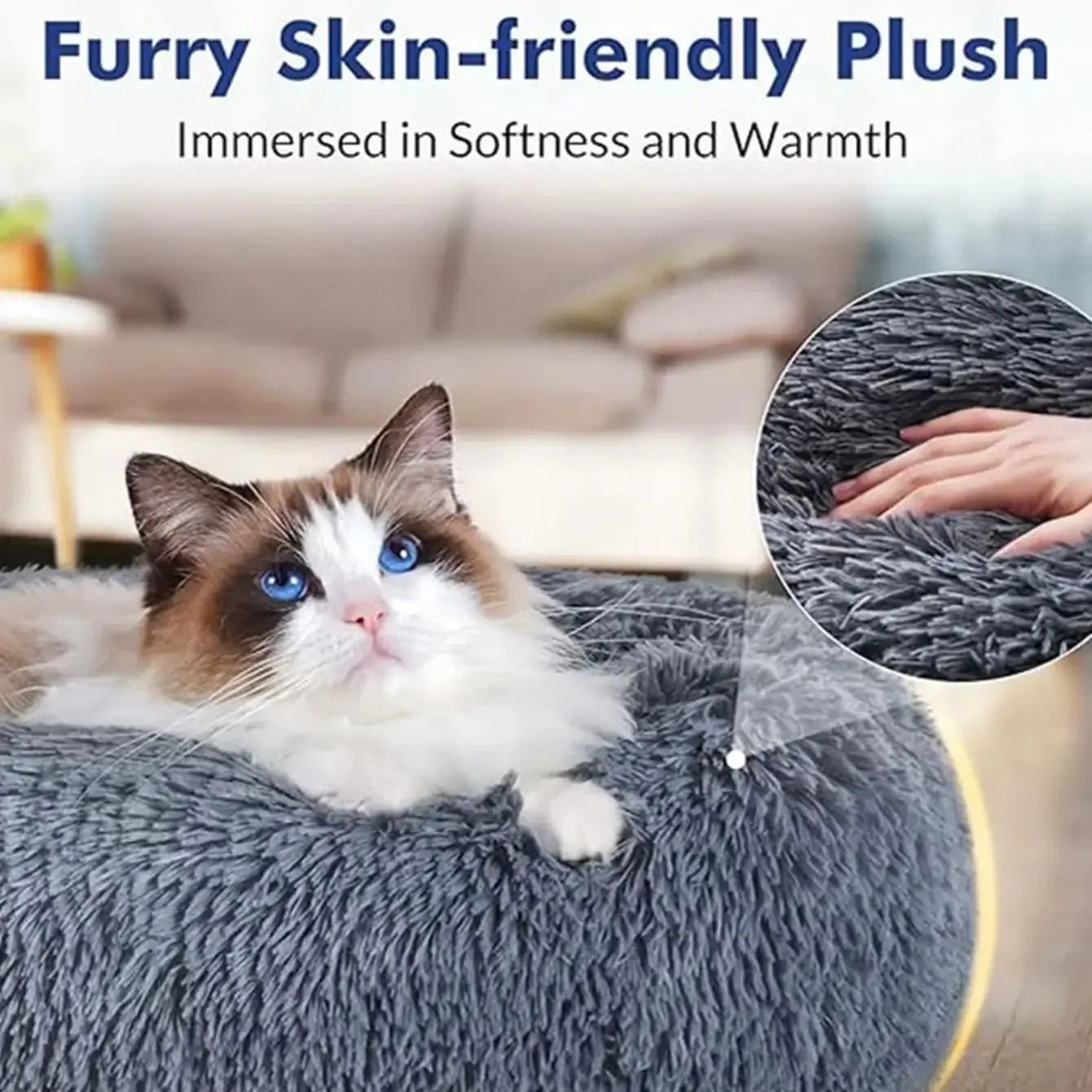 DAMA's pet bed!