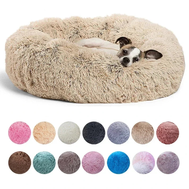 DAMA's pet bed!