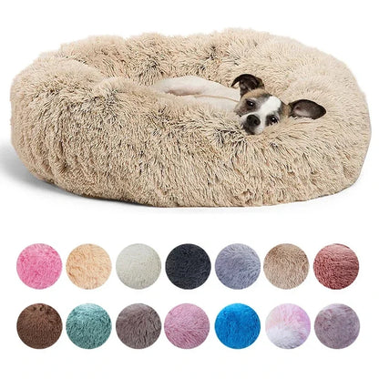 DAMA's pet bed!