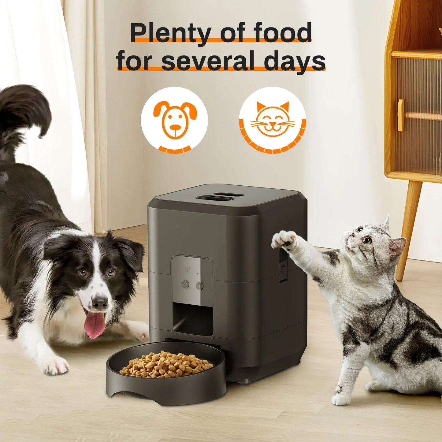 DAMA'S Smart Pet Feeder