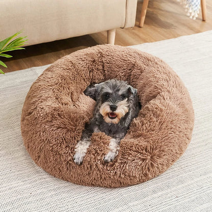 DAMA's pet bed!