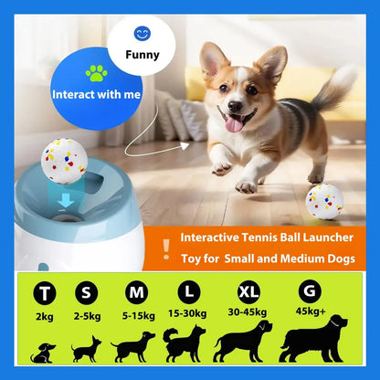 DAMA's Automatic Dog Ball Launcher